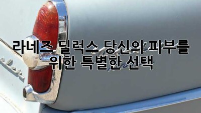 라네즈 딜럭스: 당신의 피부를 위한 특별한 선택