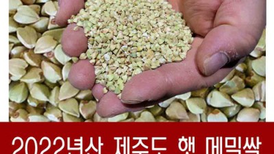 제주깐메밀: 솔직 후기와 꿀팁 대방출! ✨