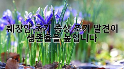 췌장암 초기 증상, 조기 발견이 생존율을 높입니다!
